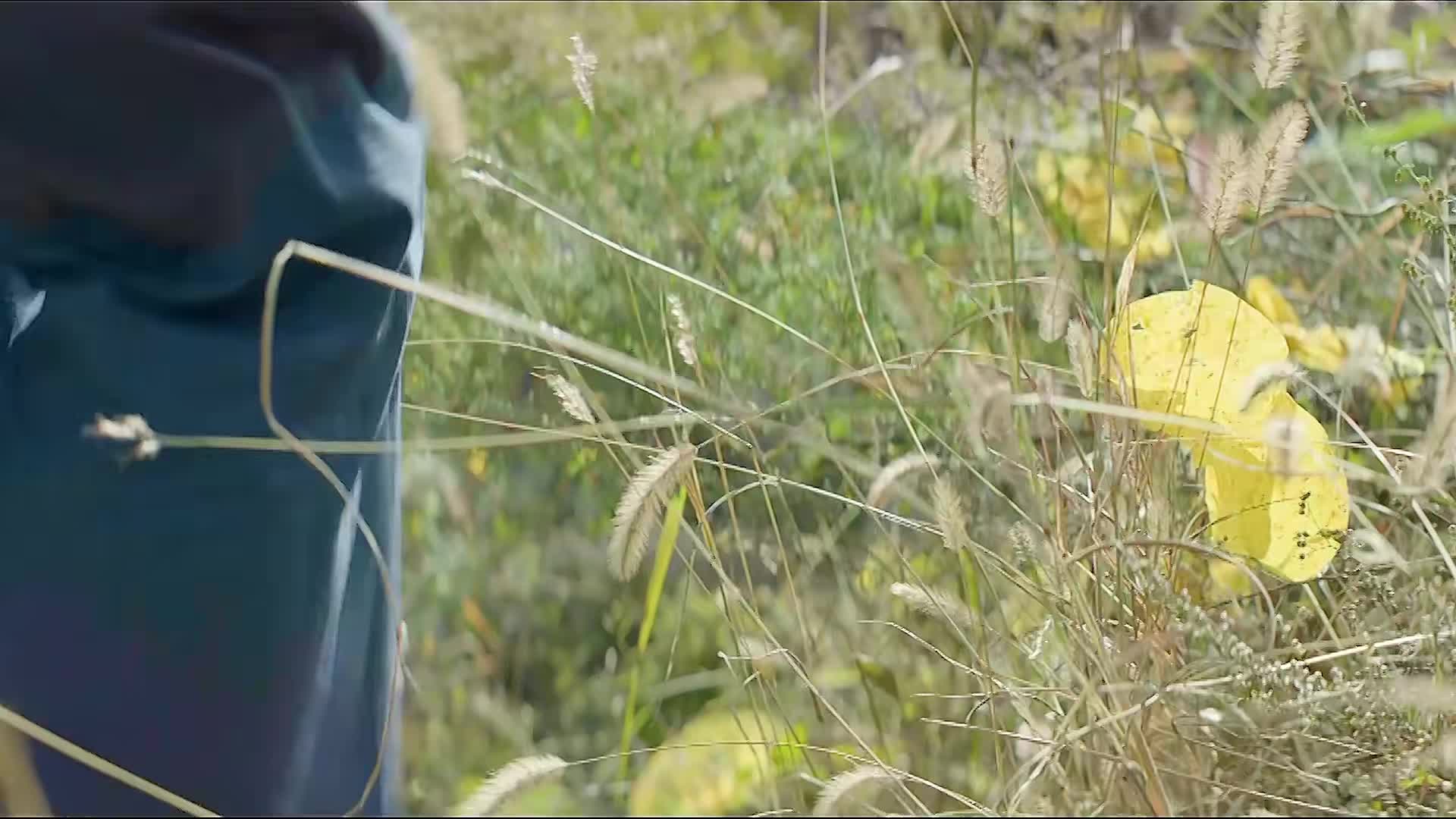 12.国产高分神作《喊・山》从被虐到重生，哑女的自我救赎之路