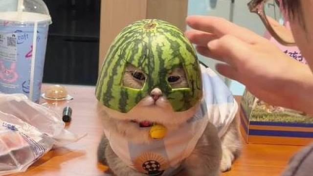 西瓜帽一带 谁也不爱！