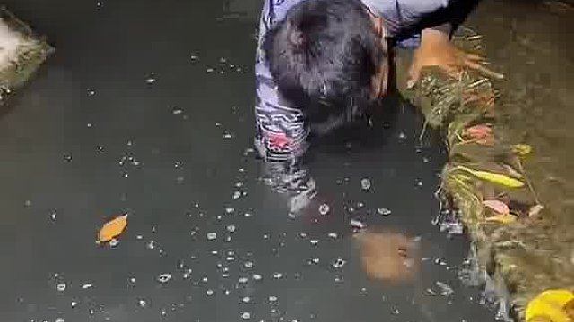 没想到这下面全是鱼
