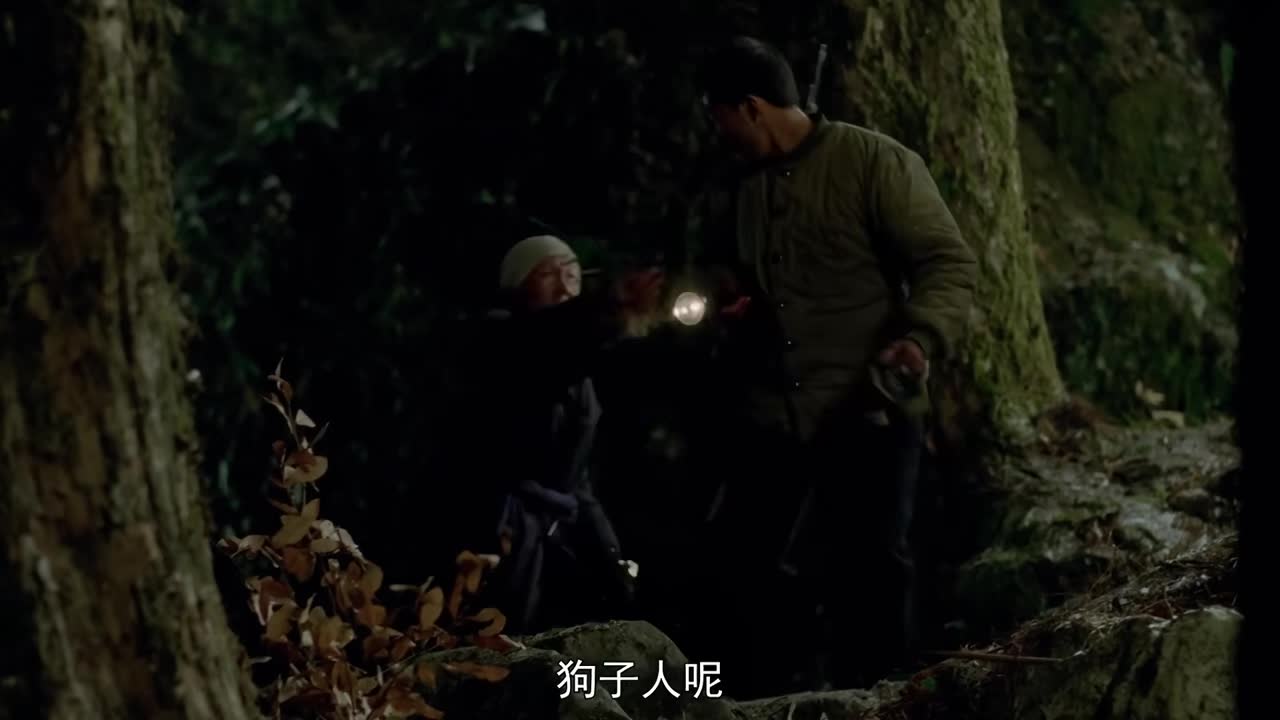 11.战斗英雄护林，被全村霸凌逼到开枪！