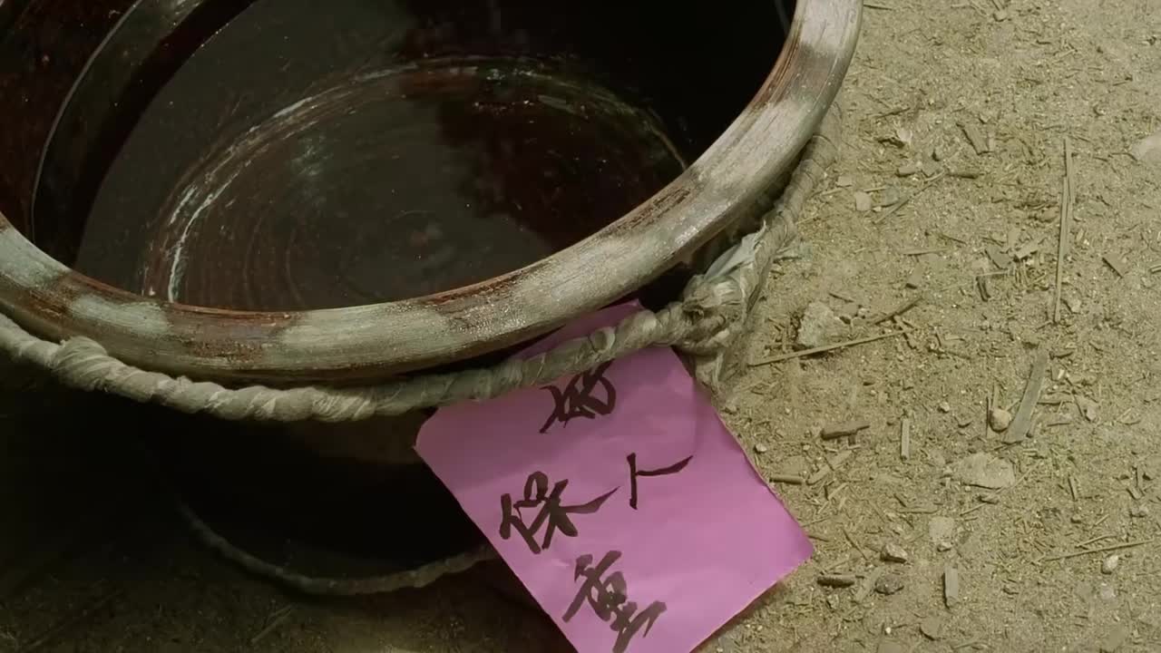 12.战斗英雄护林，被全村霸凌逼到开枪！