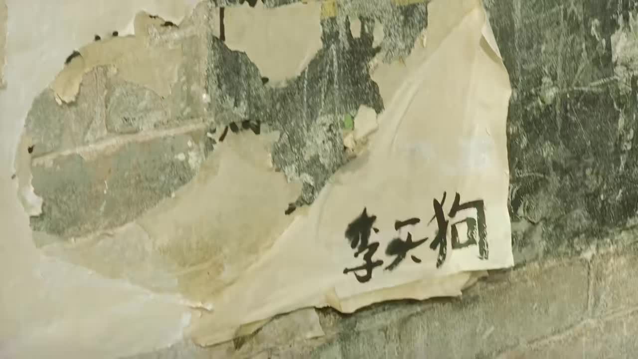 19.战斗英雄护林，被全村霸凌逼到开枪！