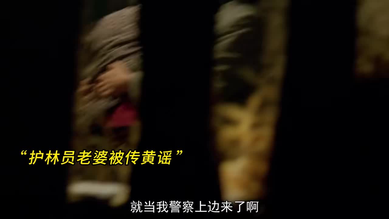 20.战斗英雄护林，被全村霸凌逼到开枪！