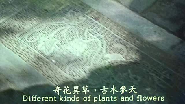 5.慈禧步步成太后太狠了！