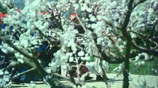 8.慈禧步步成太后太狠了！