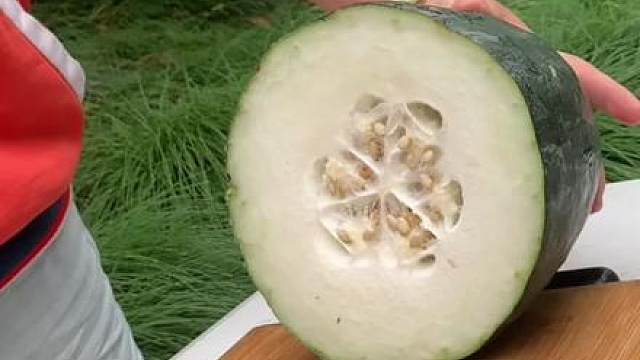 恋人怀中樱花草在耦园具象了