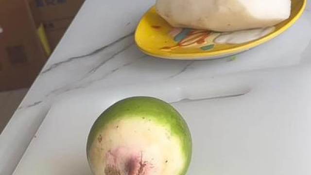 恋人怀中樱花草在耦园具象了