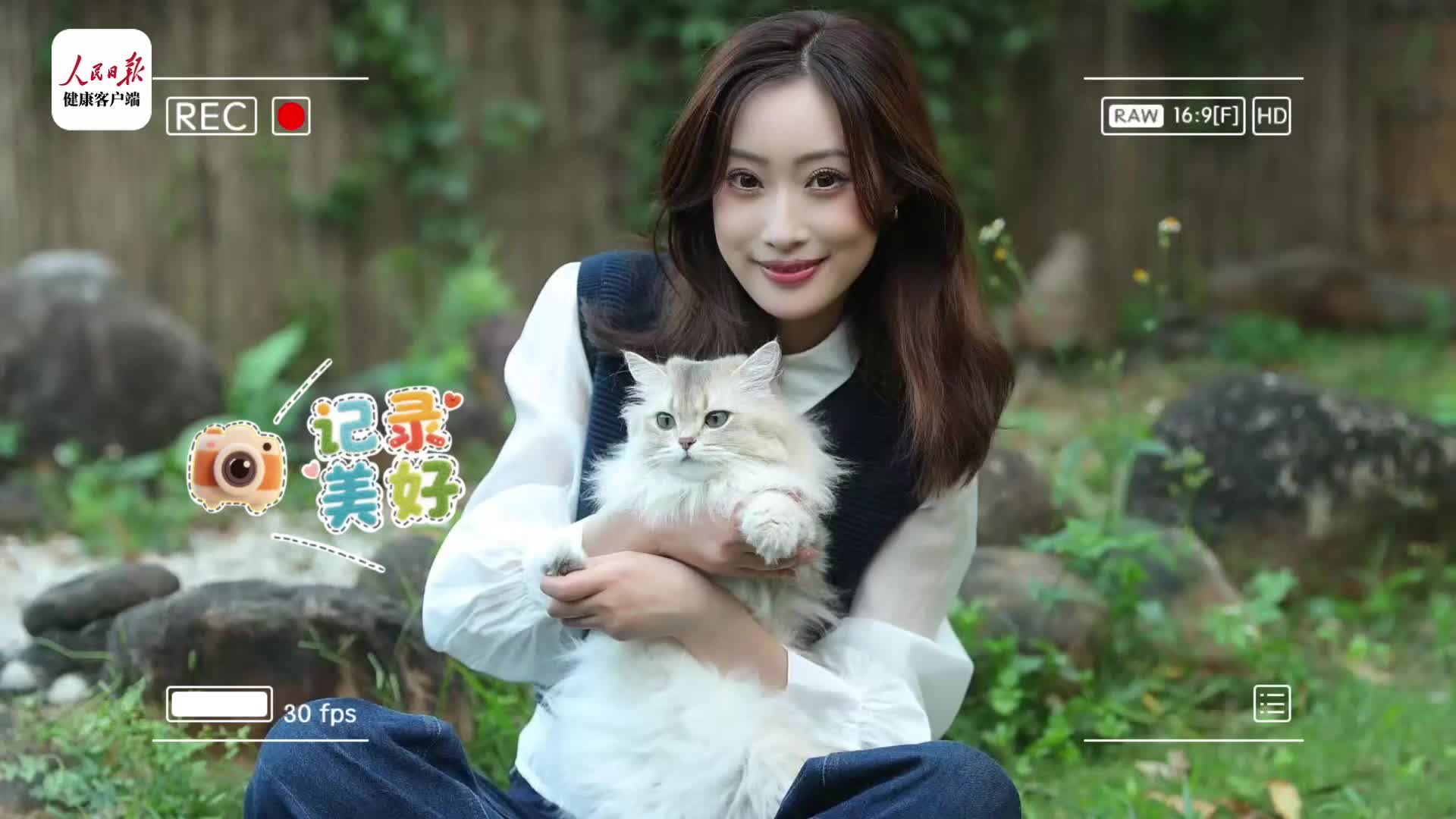 金故猫舍的赛级猫都吃点啥？