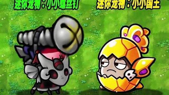 植物小表弟：融合版迷你宠物小小国王VS小小裂空