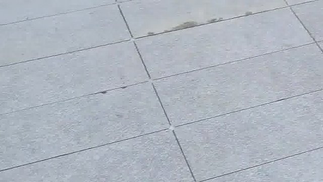 户外石英砖打造庭院地面新潮流你跟上了吗？