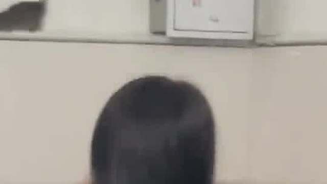 雄鹰一样的女人