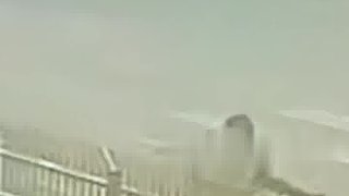 盲人女孩上班途中過(guò)馬路，小車(chē)斑馬線(xiàn)前沒(méi)有禮讓沖了過(guò)來(lái)，導(dǎo)盲犬舍命救主擋在女孩身前