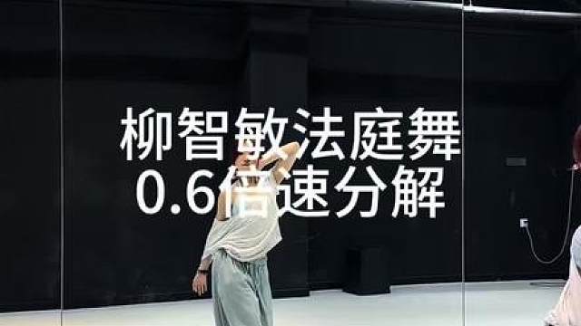 一学就会的柳智敏法庭舞