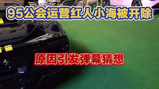 95公会运营红人小海被开除 原因引发弹幕猜想