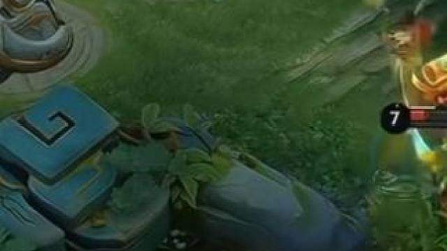 想狗我们 全在天上飞怎么办