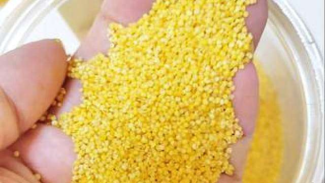 孕期健康饮食 1:2不敌挪威队...
历史上两队交战的“逢挪不胜”，今天五星巴西还是没有打破这个魔咒...！