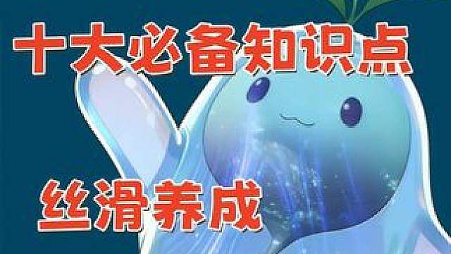 S1下半场 十一个必备知识点 丝滑养成 精准避坑