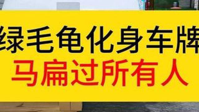 绿毛龟化身车牌，身后再藏一只春虫虫。竟没被人发现。