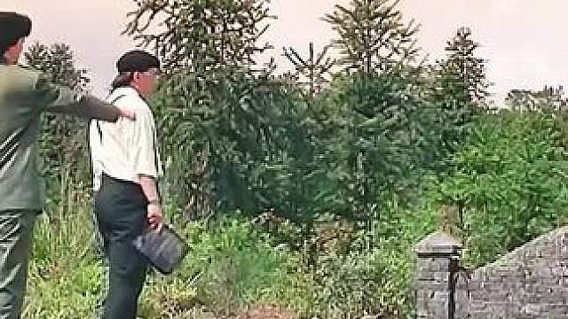 影视解说
