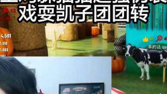 土鸡躲猫猫超强伪装，戏耍凯子团团转
