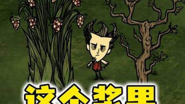 主播！为什么我饥荒中的植物和你的不一样？这个多枝树是什么？