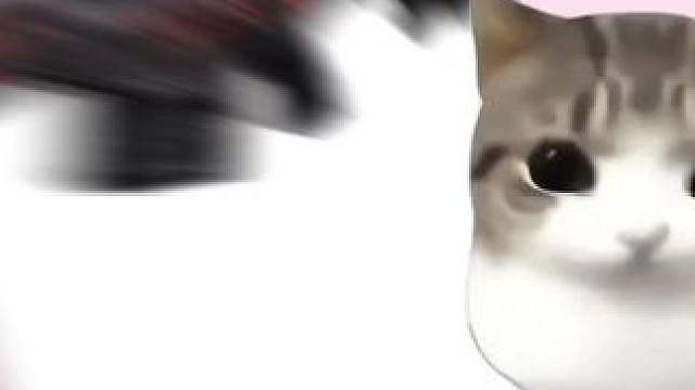 妙脆角小猫喜好CF版