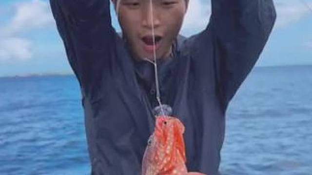 马鲁古群岛所见所闻