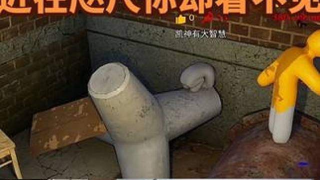 躲猫猫最高境界 德华观看一剑影找猫猫！这谁绷得住啊？