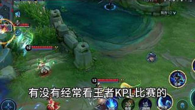 有没上过职业赛场的英雄吗？