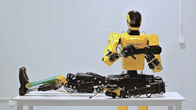 寰识30KG工业级双足人形机器人