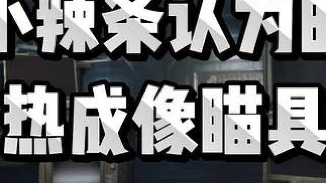 《小辣条认为的热成像瞄具》