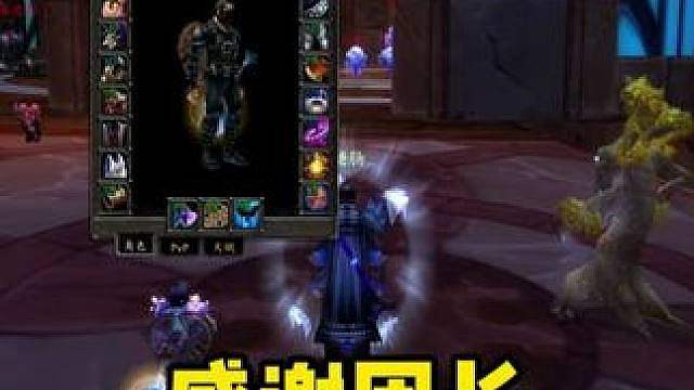 感谢团长 让给我一件好贵的装备