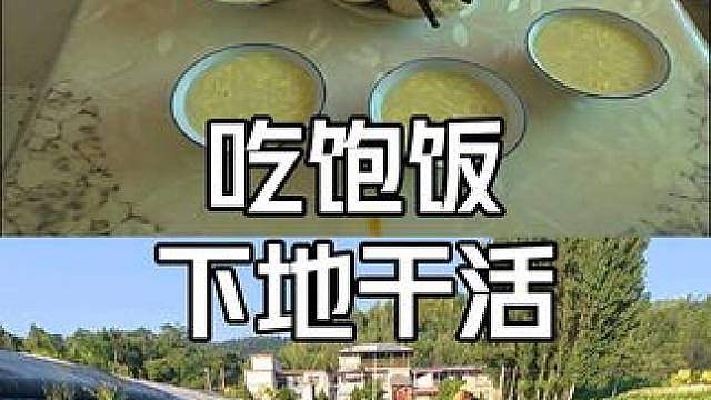 31岁被裁回村的一天 从早起喂狗，到顶着太阳下地锄草，日子就是这样，一天一天过。
