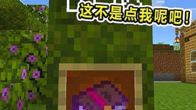 假如附魔书会说话！谁才是最没用的附魔？击退第一个不服！