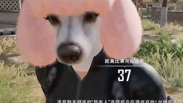 你们的唐王回来了
