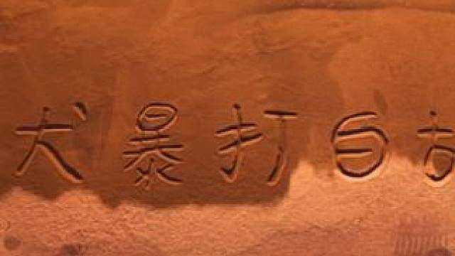 海贼迷专属游戏