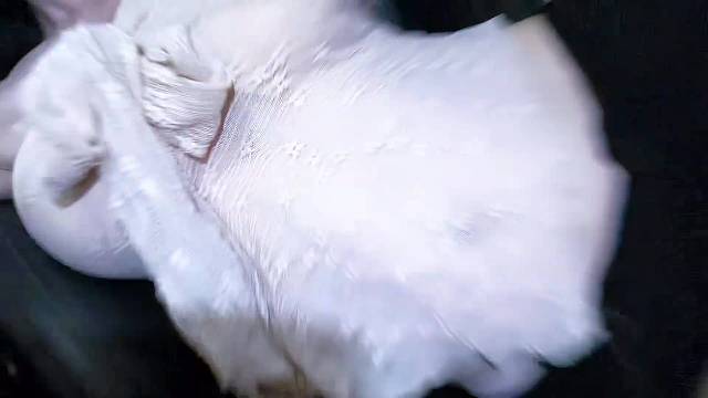 台风听说已经过了？我要出门上班了 #感觉至上 #开车注意安全