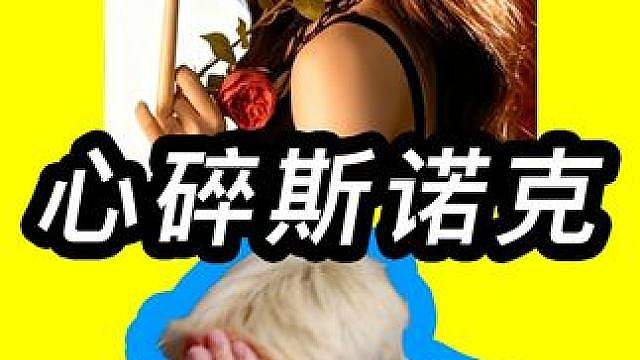 雷霆歌词“我的心像炸开的球桌 你却给我做杆斯诺克” 《心碎斯诺克》reaction