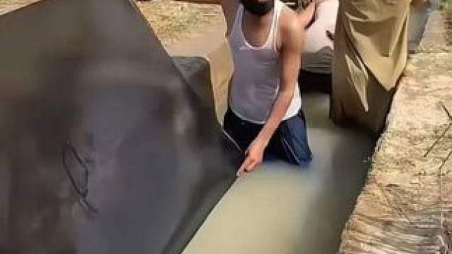 这是斩草除根网啊 这是斩草除根网啊