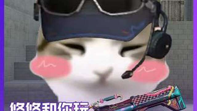 请让妙脆角小猫来选择你的武器