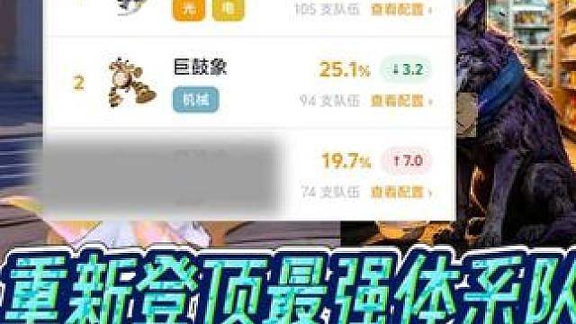 五分钟速看当前版本，《宠物强度T度排行》