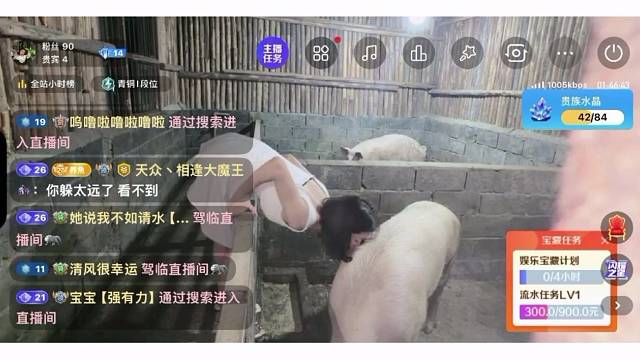 新主播亲猪
