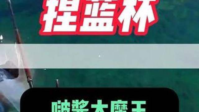捏蓝庄园出了个啵酱大魔王 以积分第一晋级锦鲤杯决赛