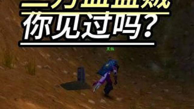 三万血量的盗贼你见过吗?