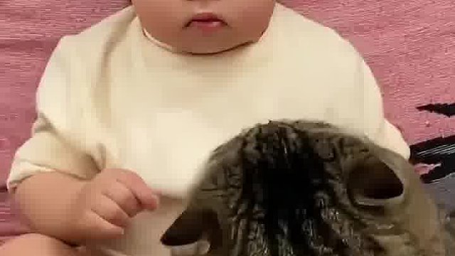 猫咪很烦躁
