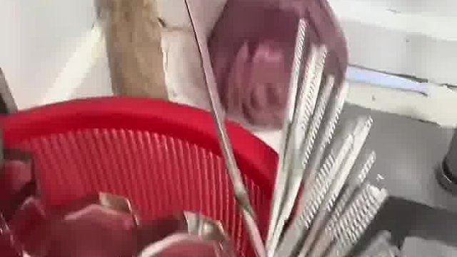 生命力顽强