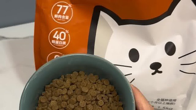 铲屎官真实测评，这款猫粮实力真能打