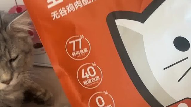 猫粮怎么选？这款猫粮长肉还养胃