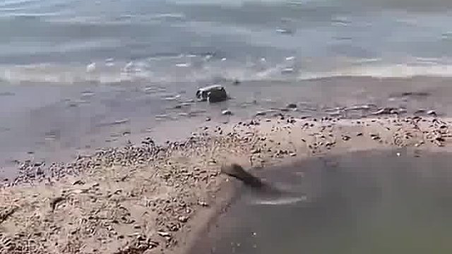 方向对了！成功了！