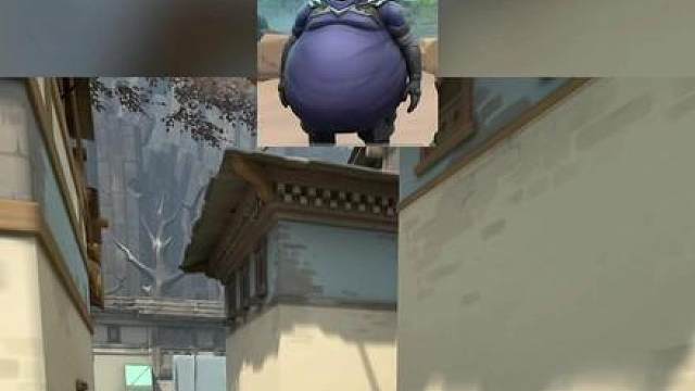 谁能穿越维斯的陷阱